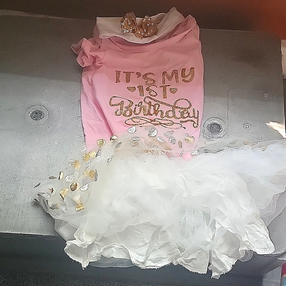 1st birthday, baby onesie